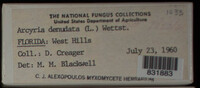 Image Associated With the Occurence